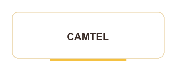 CAMTEL